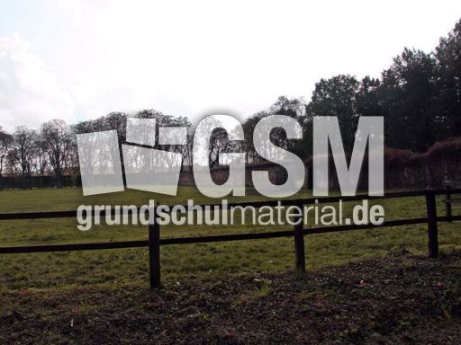 B-Herbststimmung 037.jpg